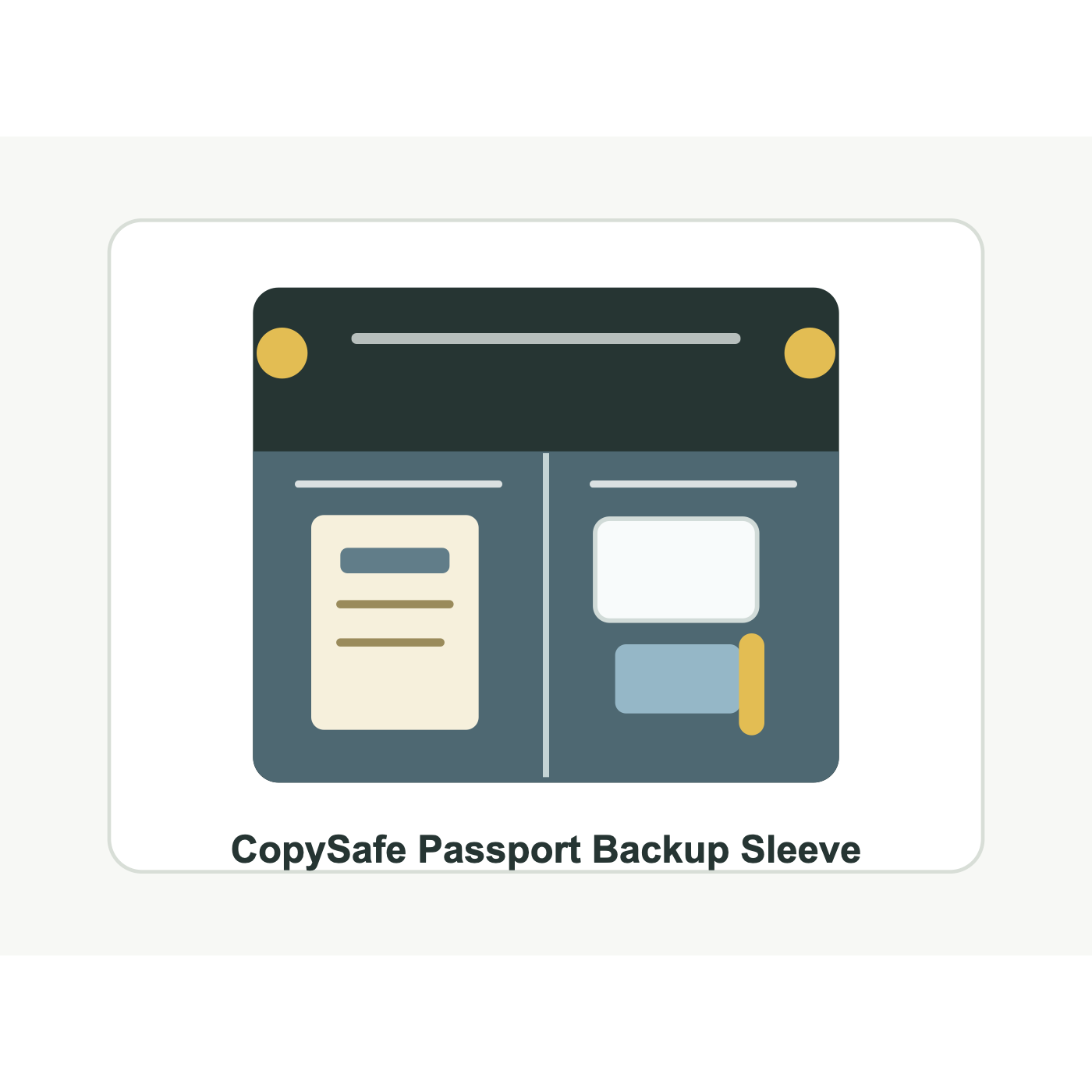 CopySafe Passport Backup Sleeve product image